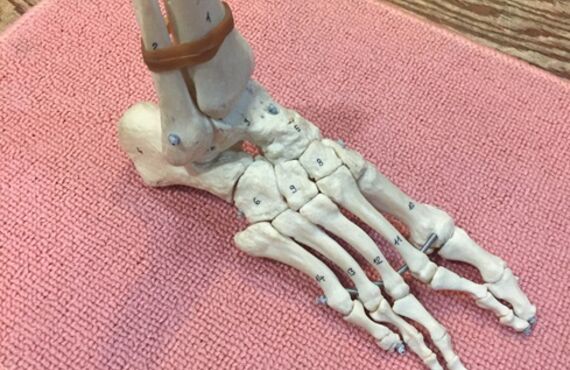 カスタムインソールと骨の関係｜骨が整うことで変わる足元の安定感